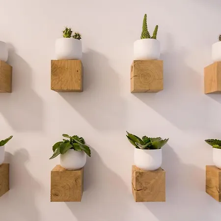 Seis Aldabas Appartamento San Giacomo di Compostella