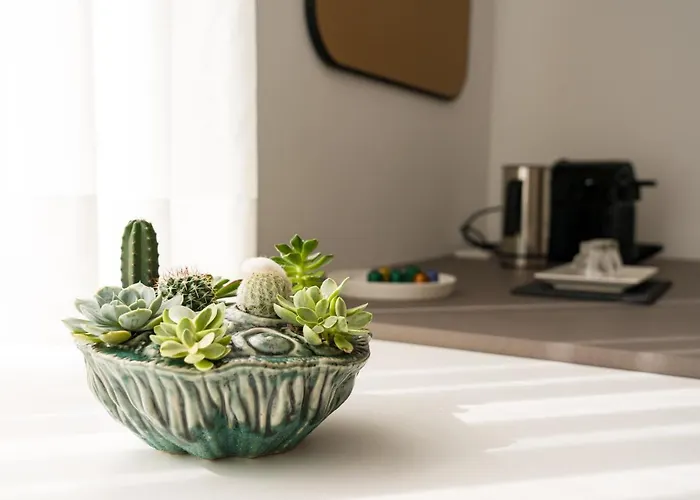 Apartman Seis Aldabas Santiago de Compostela