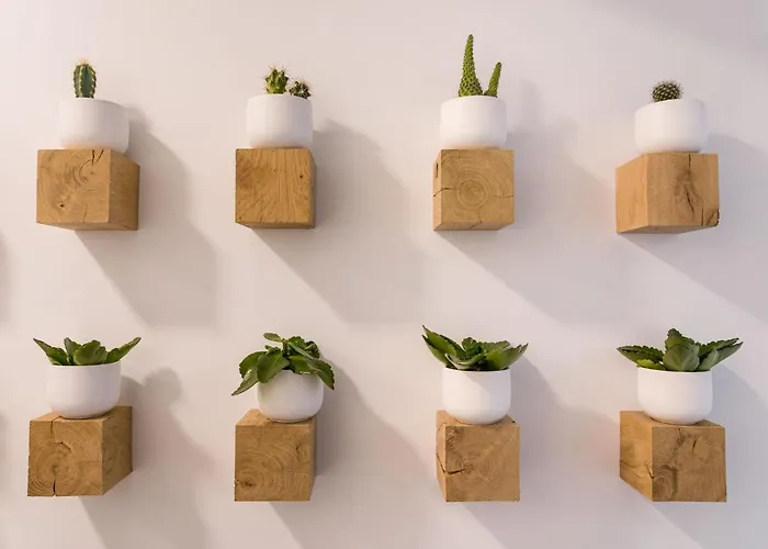 Seis Aldabas Appartamento San Giacomo di Compostella